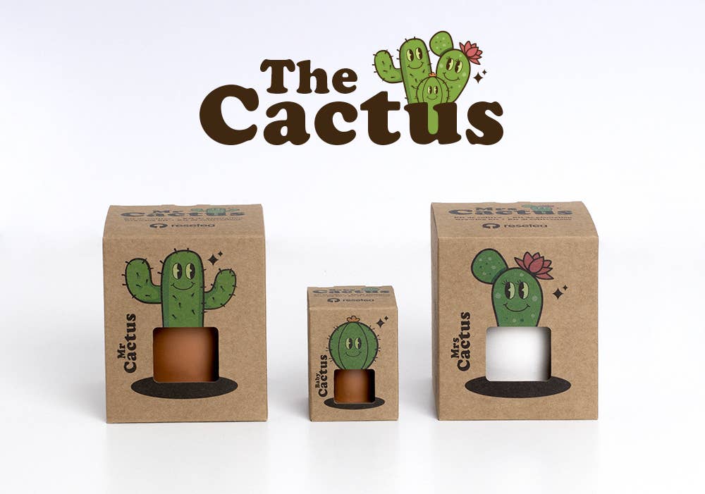 The Cactus: Mrs Cactus