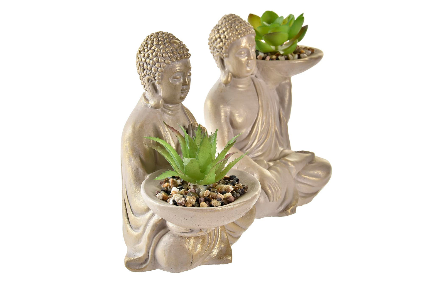 Planta Buda