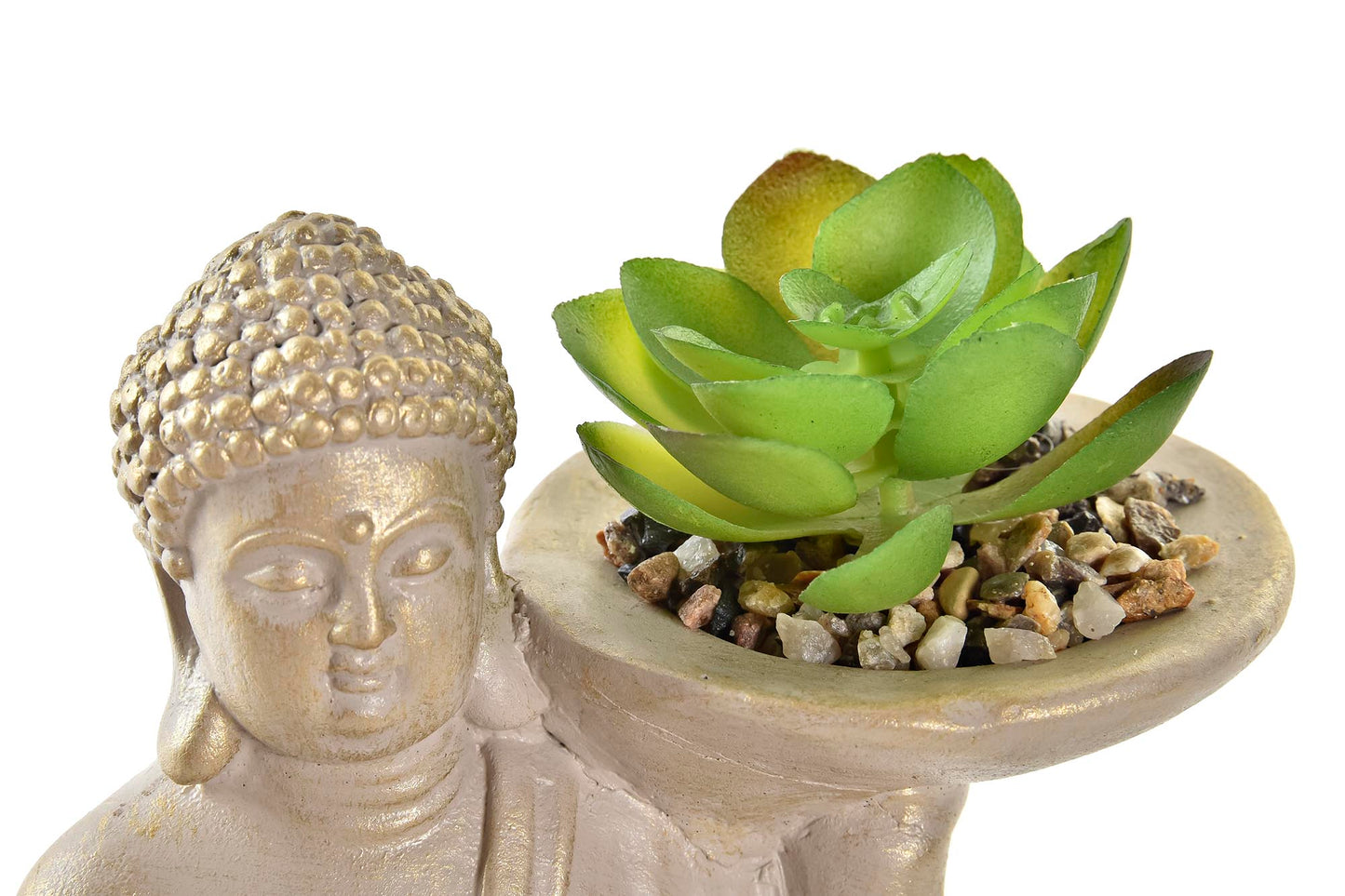 Planta Buda