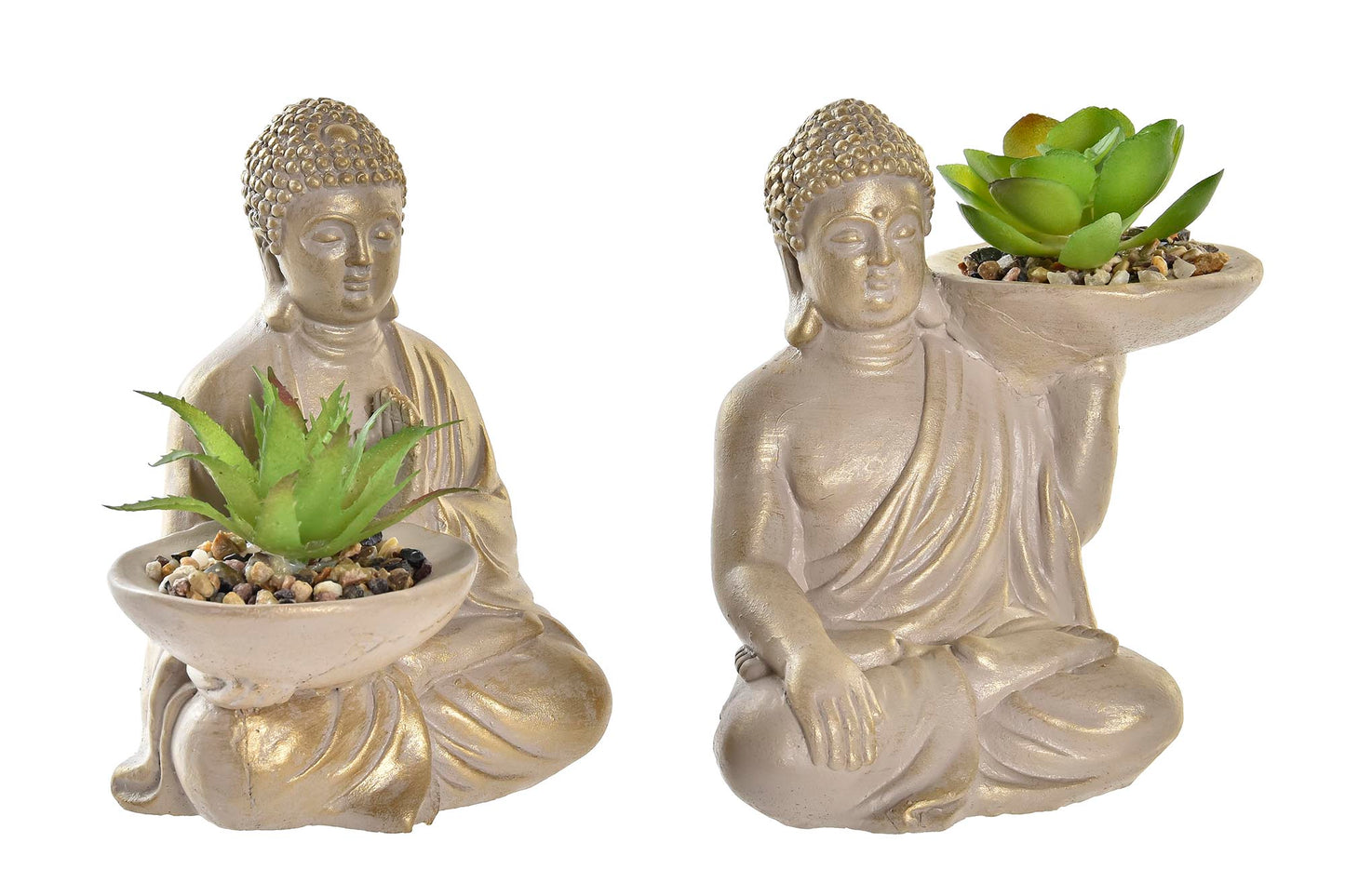 Planta Buda