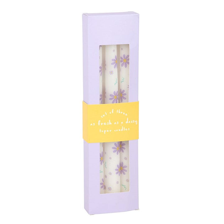 Juego de 3 velas cónicas con margaritas moradas