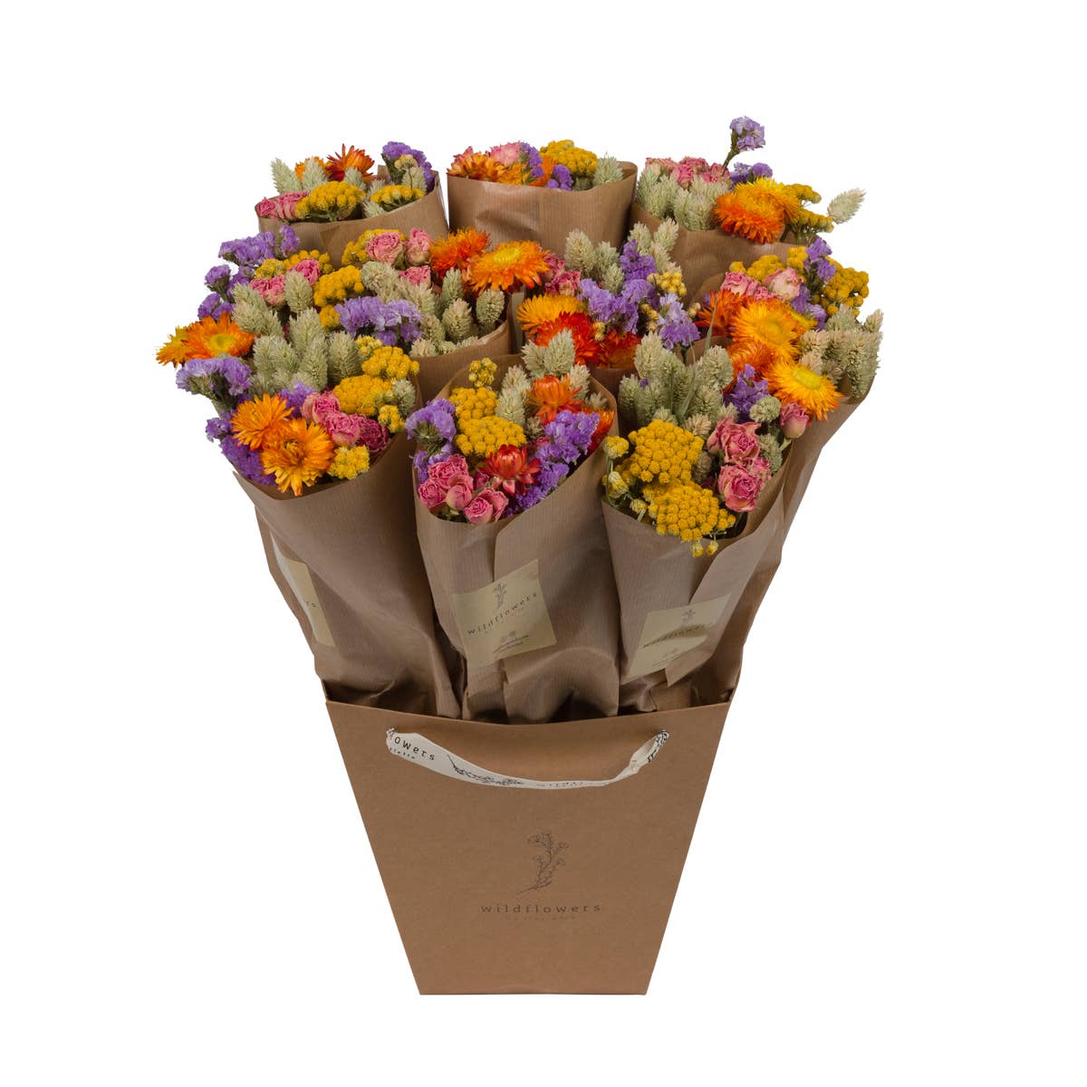Flores secas - Multi