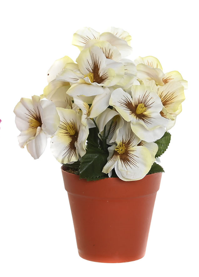 Planta Flor Mariposa