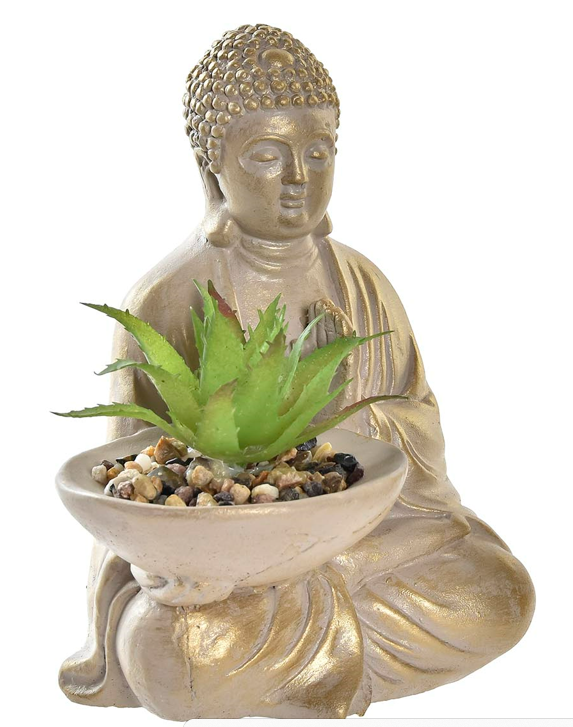Planta Buda