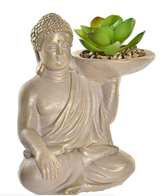 Planta Buda