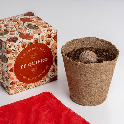 Díselo con flores "Te Quiero"