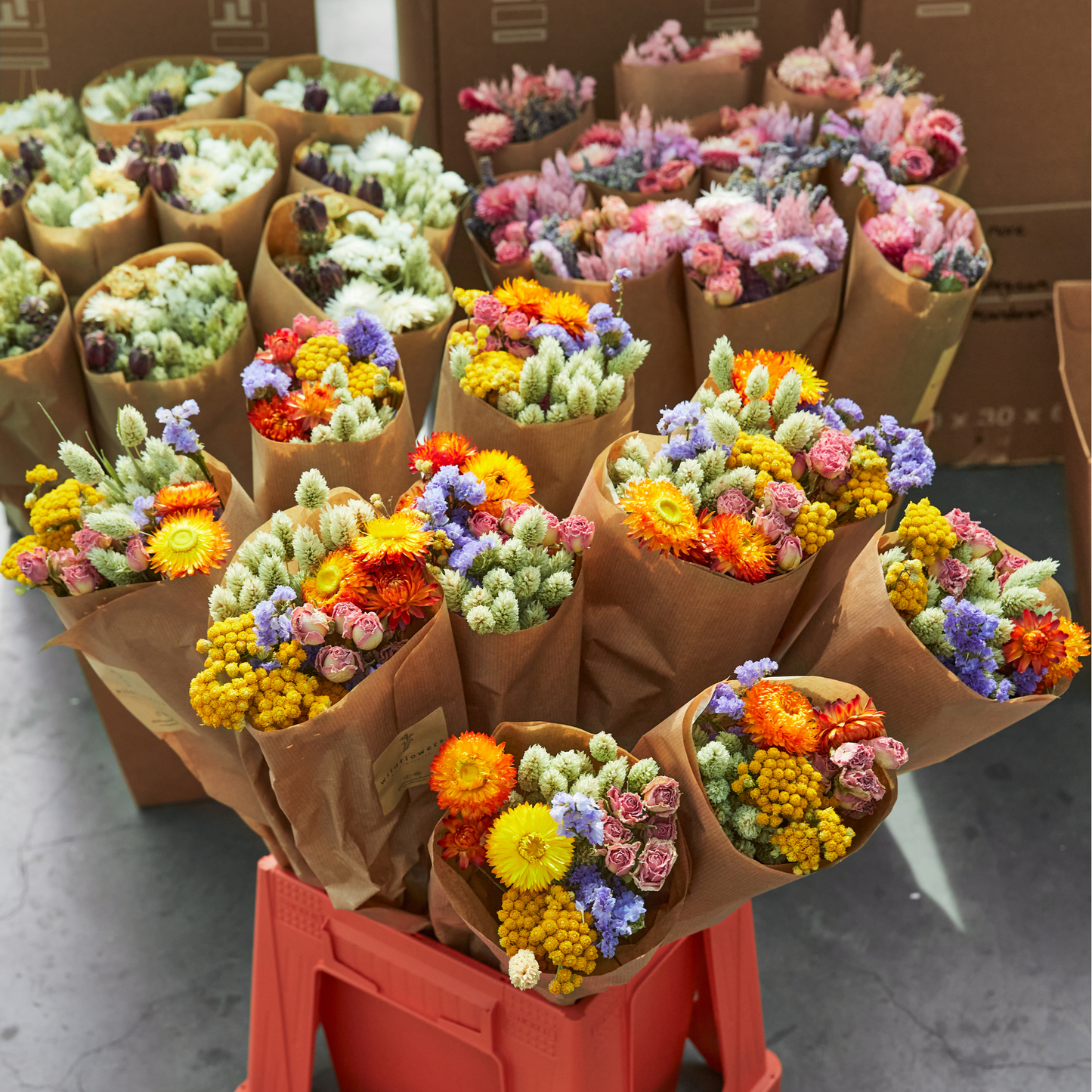 Flores secas - Multi