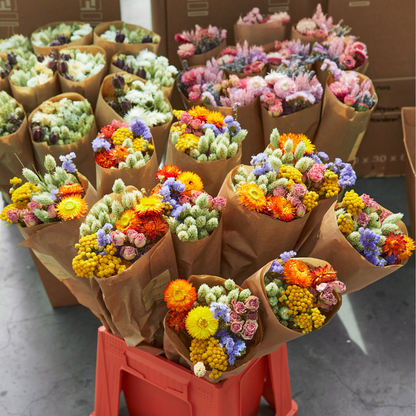 Flores secas - Multi