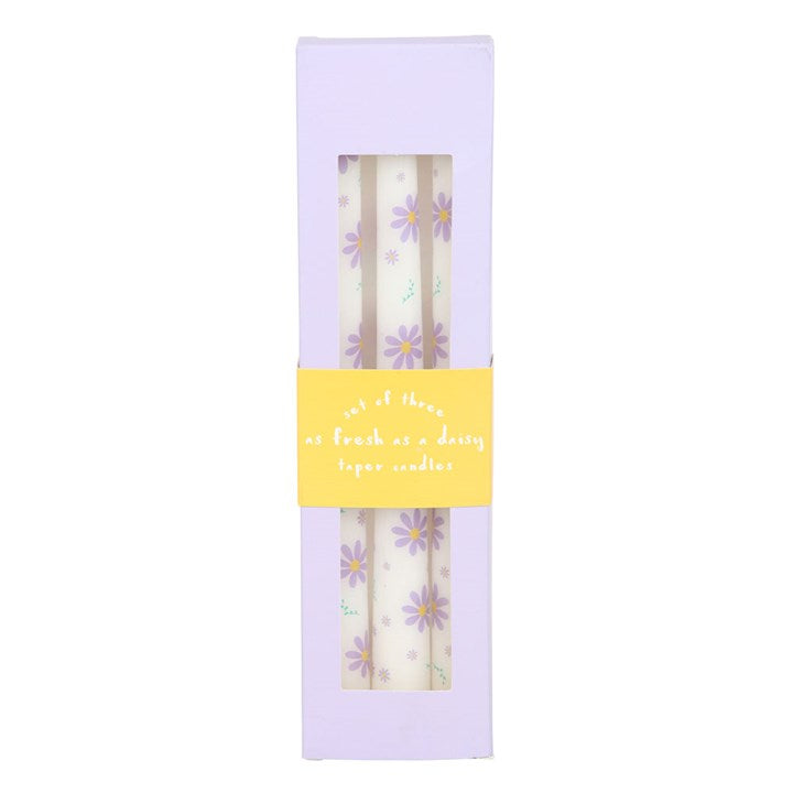 Juego de 3 velas cónicas con margaritas moradas
