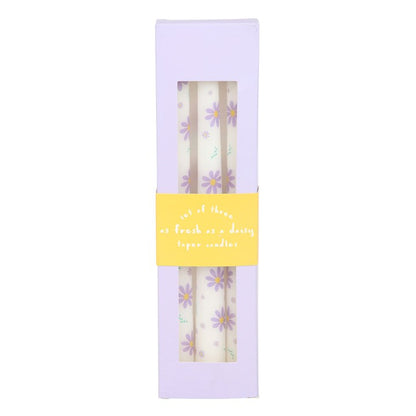 Juego de 3 velas cónicas con margaritas moradas