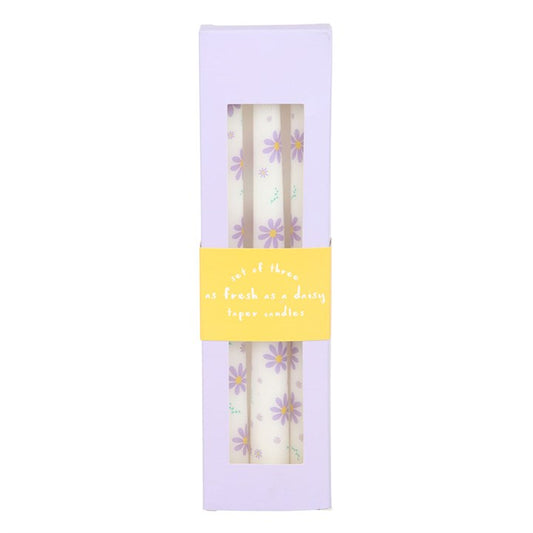 Juego de 3 velas cónicas con margaritas moradas