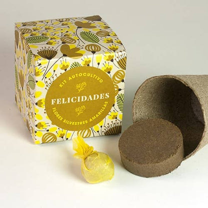 Díselo con flores "Felicidades"