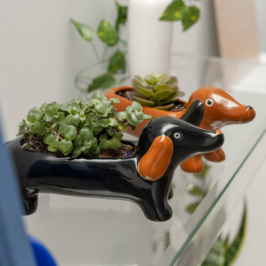 Jarrón decorativo Teckel de cerámica