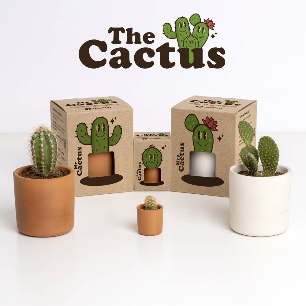 The Cactus: Mrs Cactus