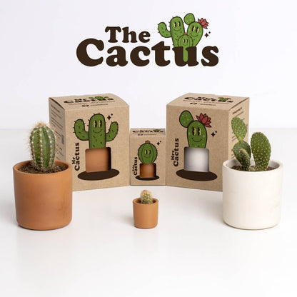The Cactus: Mrs Cactus