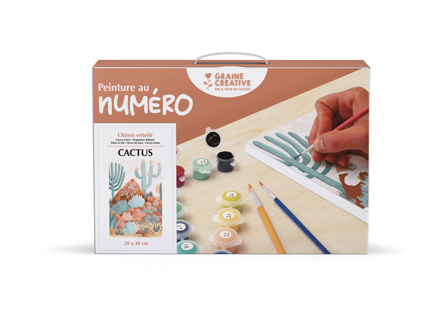 Kit completo para pintar por números: cactus
