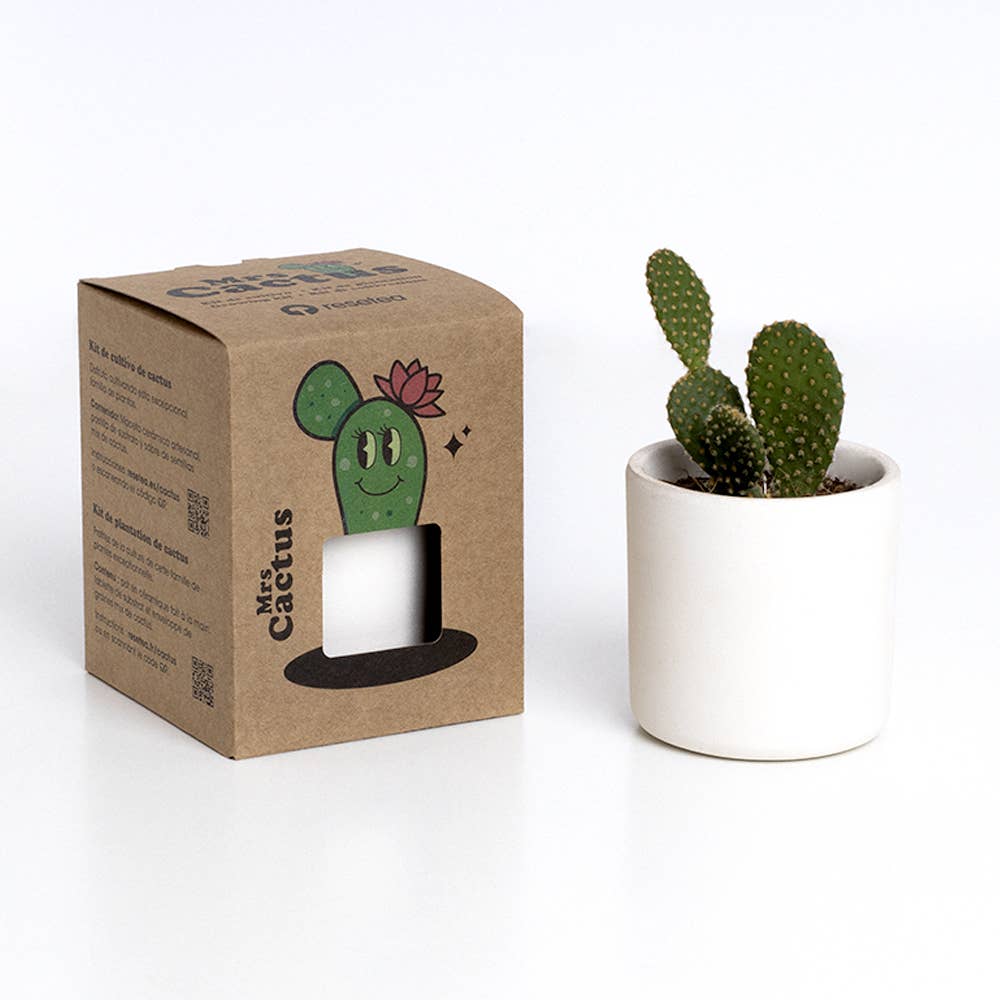 The Cactus: Mrs Cactus