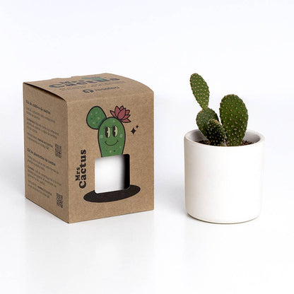The Cactus: Mrs Cactus