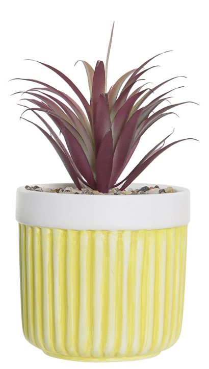 PLANTA GRES PVC.