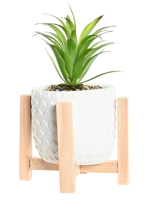 PLANTA SCANDI