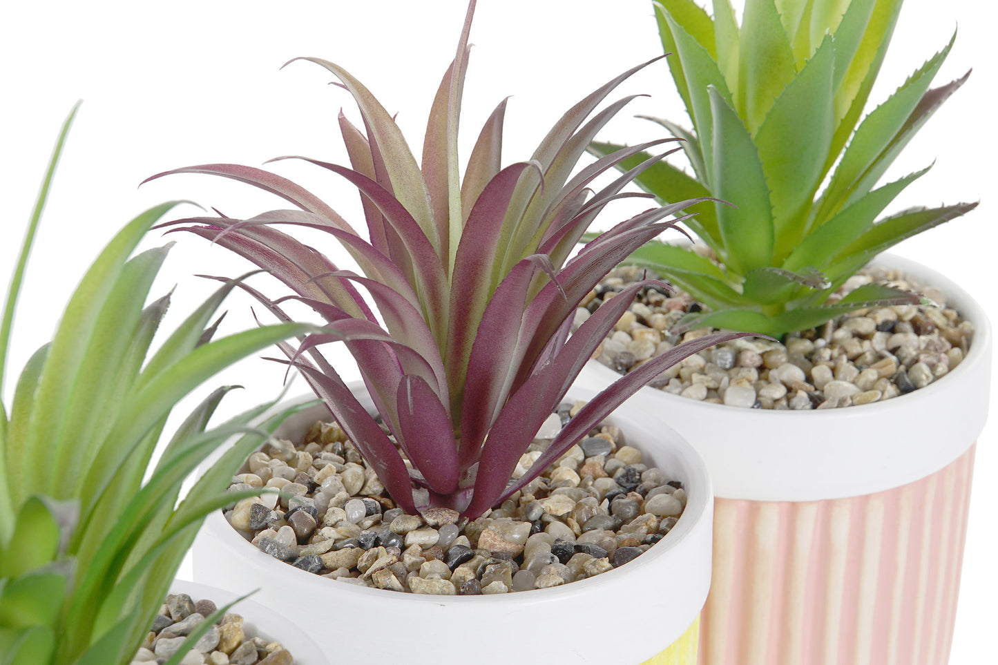 PLANTA GRES PVC.