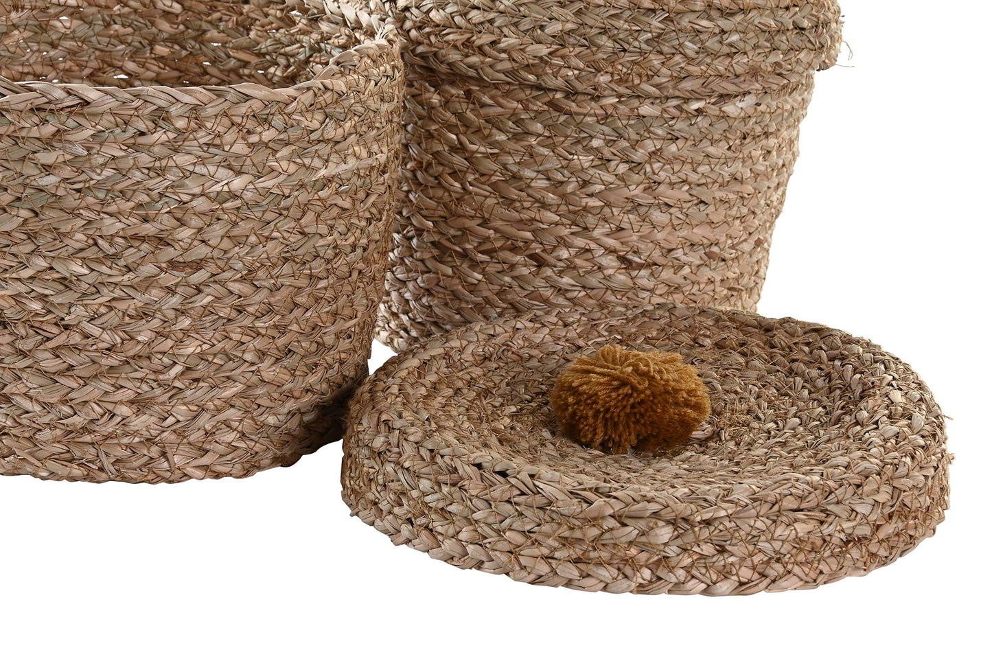 CESTA LEÓN SEAGRASS