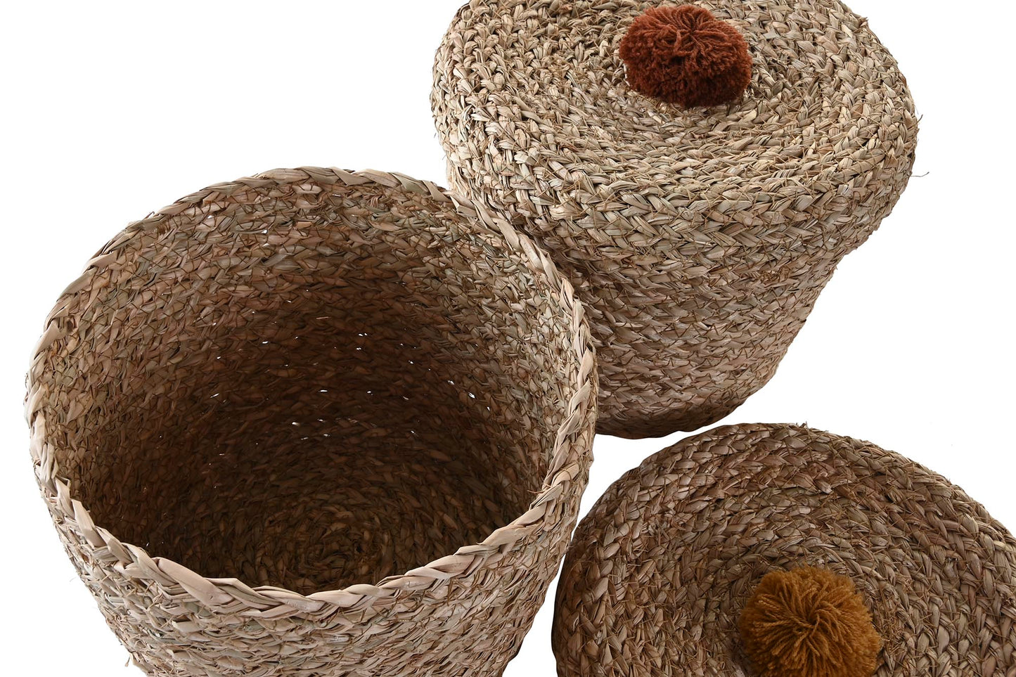 CESTA LEÓN SEAGRASS